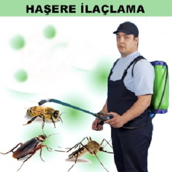 Yıkıkkemer Böcek İlaçlama